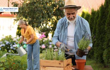 Spring into Wellness: Reducing Dust and Allergens for Seniors in Charleston, SC
