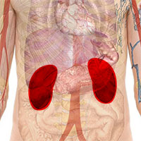 MANAGING KIDNEY HEALTH WITH AGING