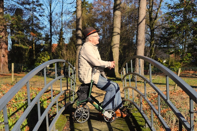 SENIOR CARE SERVICES THAT PROMOTE INDEPENDENCE
