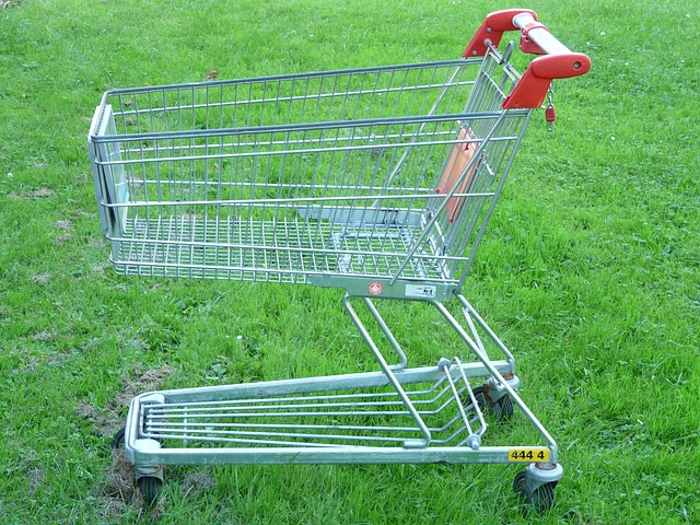 MAKING SHOPPING FUN FOR SENIORS