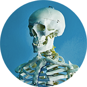 MAINTAINING BONE HEALTH WHILE AGING