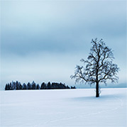 6 WAYS SENIORS CAN WARD OFF THE WINTER BLUES