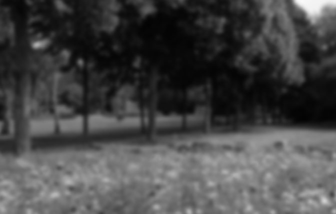 NATURE-BG