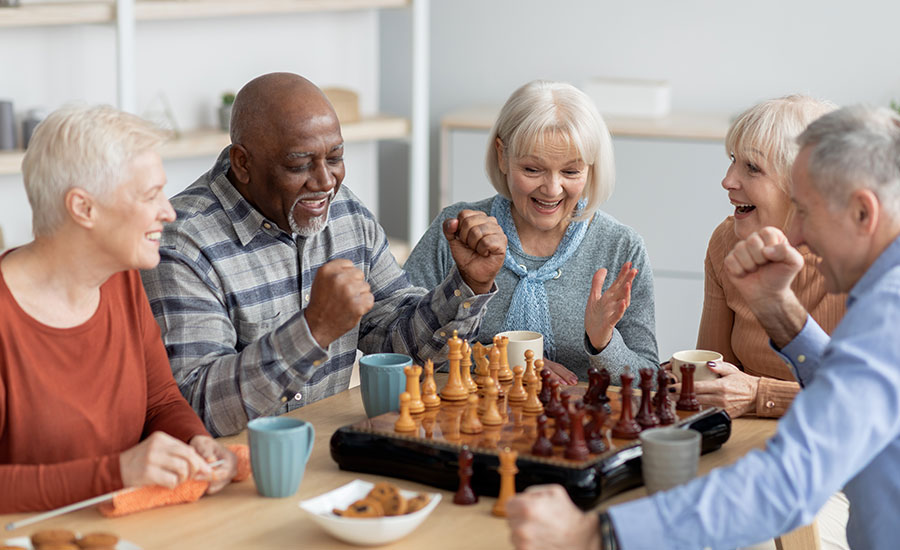 INCREASING SOCIALIZATION TO REDUCE ISOLATION AND LONELINESS IN AGING
