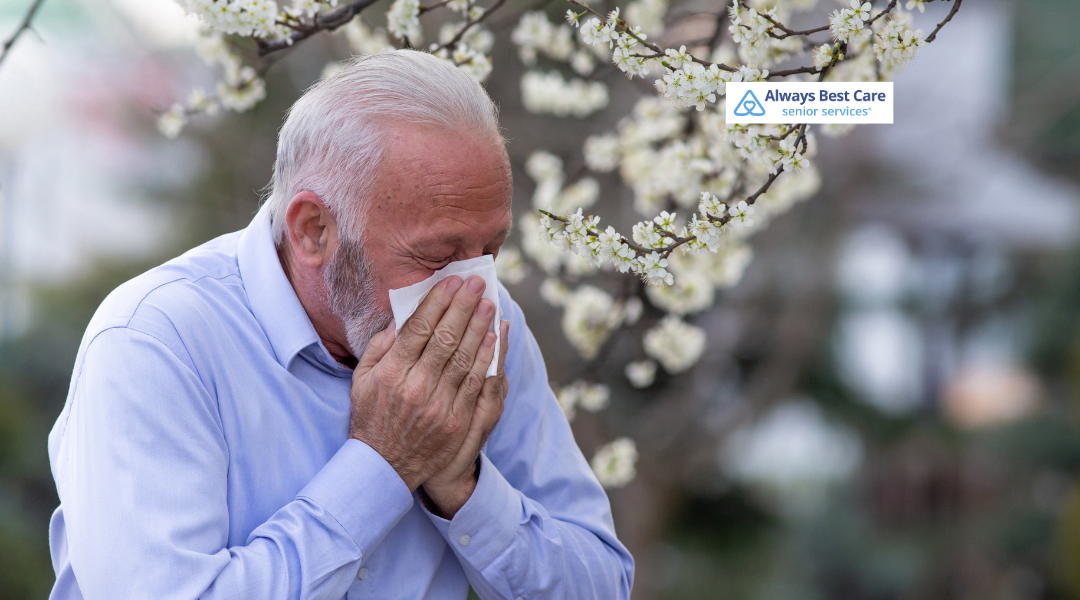 Managing Allergies for Seniors in Glenview: Tips for a Healthier, More Comfortable Spring