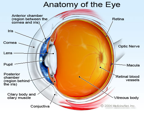 A BRIGHT FUTURE FOR EYESIGHT