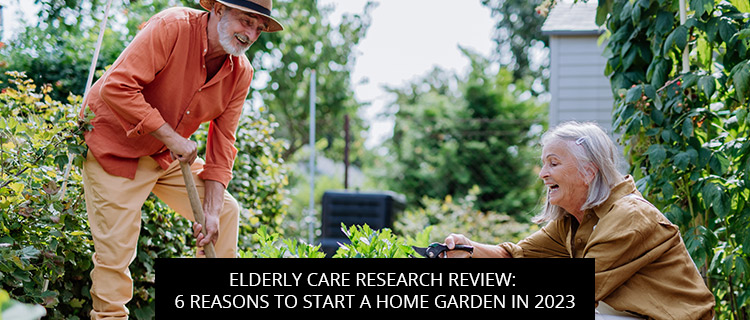 Elderly Care Research Review: 6 Reasons To Start A Home Garden In 2023