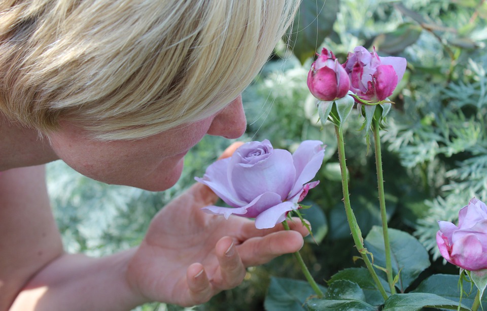 AGING AND THE SENSES: HOW TO DEAL WITH LOSS