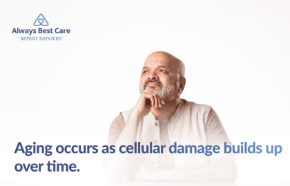 3 Months Before Death Symptoms [What To Look Out for + FAQs]