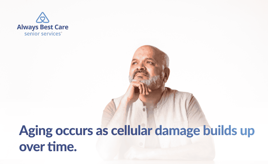 3 Months Before Death Symptoms [What To Look Out for + FAQs]