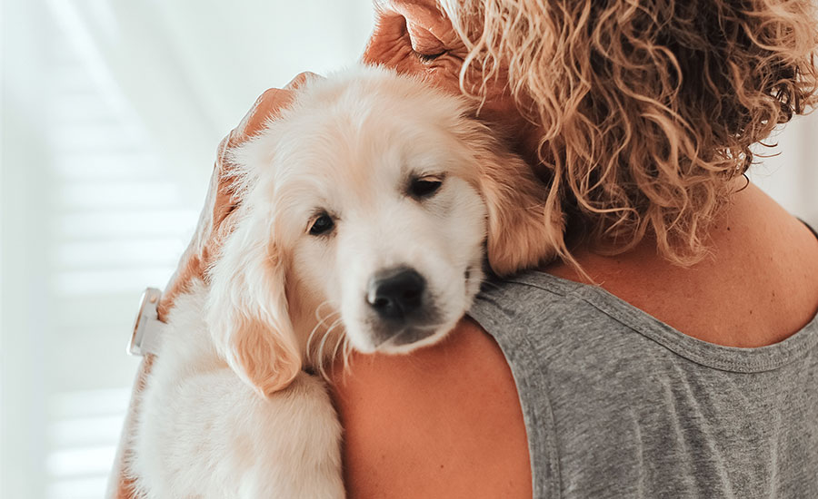 A senior woman holding a puppy​