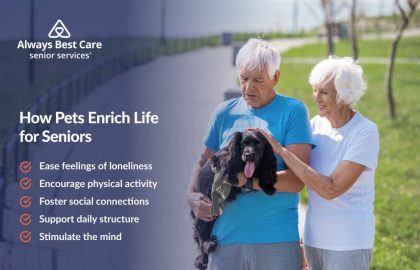 Pets for Seniors: Benefits & How To Choose the Ideal Pet