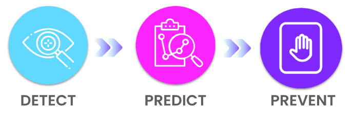 SENSI PROCESS